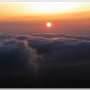 지리산감자탕 이미지