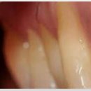 라페치과의원 이미지