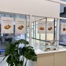 카페 쿠디(Cafe Koo D) 이미지