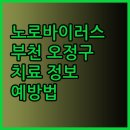 누리안유영길김태형내과김영찬방사선과의원 | 부천 오정구 노로바이러스 치료 병원 및 예방 정보