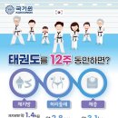 한국체대 건강한태권도 이미지