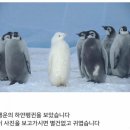 펭귄PC방 이미지