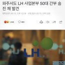 한국토지주택공사 파주사업본부 이미지
