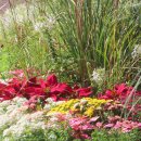 국화호수 이미지