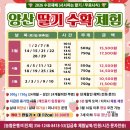 원동식육식당