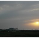 제주들녘