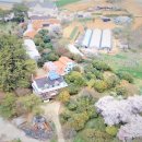 아리랜드 이미지