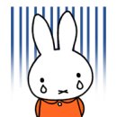 민성