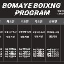 BOMAYE BOXING 이미지