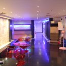 버블캣츠 이미지