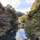 천지연주차장 이미지