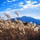 명산여인숙 네이버블로그