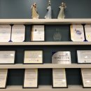 덴마크오티콘보청기유성점 이미지