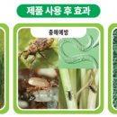씨엠씨 이미지