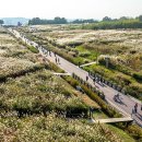 [서부] 캘리그라피(2025) 이미지