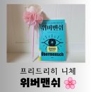 서양철학에서 배우는 삶의 지혜 | [도서] 지혜로운 삶의 정석 프리드리히 니체 &#34;위버맨쉬&#34; 심도 있는 독서후기