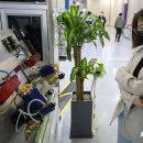 대영유지㈜ 이미지