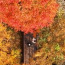 (주)동해보양온천컨벤션호텔 이미지