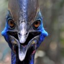 남성농장 이미지