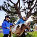 물메초등학교 | 초등학생 가족의 &#39;2025 피엘라벤 클래식 코리아&#39; 3일차 후기