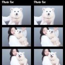 짱구 짱아 애견샵 이미지