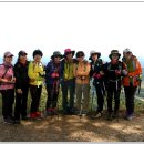 계족산황톳길 이미지