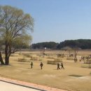 중랑천 파크골프장 | 중랑천파크골프장 예약, 요금, 코스 정보 ⛳