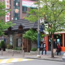 민들레영토