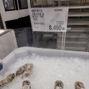 코스트코 부산점&lt;1월 세일&gt; 코스트코 꿀템, 코스트코 할인, 코스트코 필수템