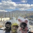 국립공원 굿즈 신상 반달이, 달콩이 키링 구매 후기