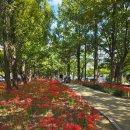 활천공원 이미지