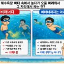 해수욕장에서 오줌 싸는 건 비매너다 vs 아니다. 이미지