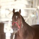 태영목장2 이미지