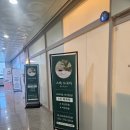 스파드고아
