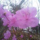 오삼농장 이미지