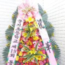 임종갑 Daum카페
