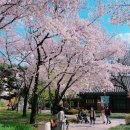 계명대학교 대명캠퍼스 이미지