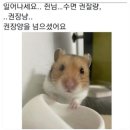 일어나세요.. 쥔님 ... 이미지