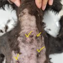 다나은동물병원 이미지