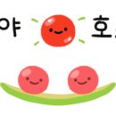 용인시기후변화체험교육센터 이미지