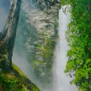 영화-미나리 이미지