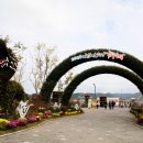 국화축제장 입구 이미지