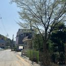 일영펜션 | 일영 장흥 북한산 계곡 물놀이 식당 맛집 '미루나무집&amp;펜션'