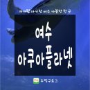 여수교육지원청 | 여수 아쿠아플라넷 | 16개월 아기랑 여수여행 코스추천, 포토존 추천