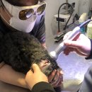 민트동물병원 이미지