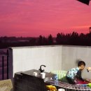 제주젬젬 이미지