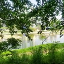 노작공원(오산천변) 이미지