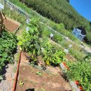 문산농약사 이미지