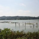 호수분식 - 고양시 일산동구 호수로 646-24 | 호수분식