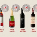 더블유 조선비즈